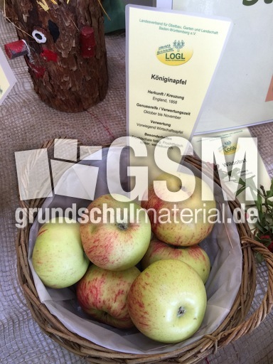 Königinapfel.jpg